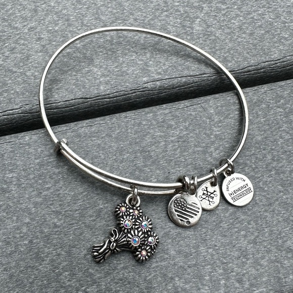 Alex and Ani Silver Charm Bracelet - Picture 1 of 2